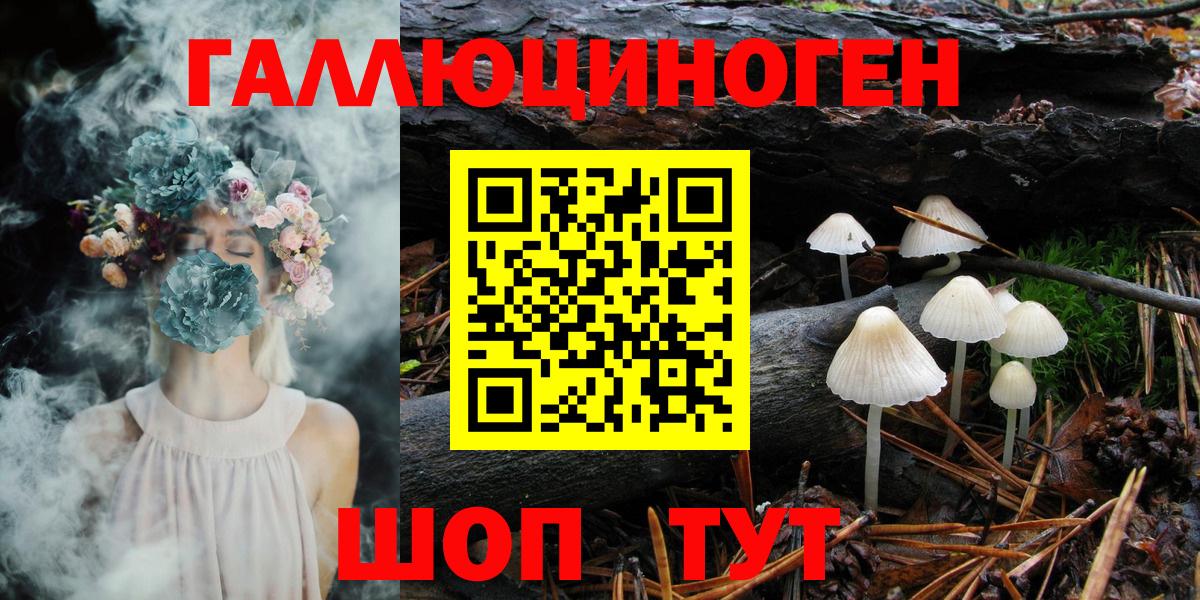 Искитим  Псилоцибиновые грибы Psilocybe  Вход с VPN 